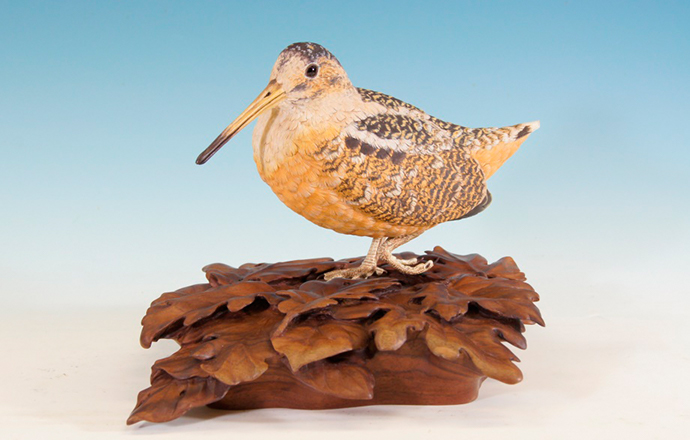 ������Υ��᡼��