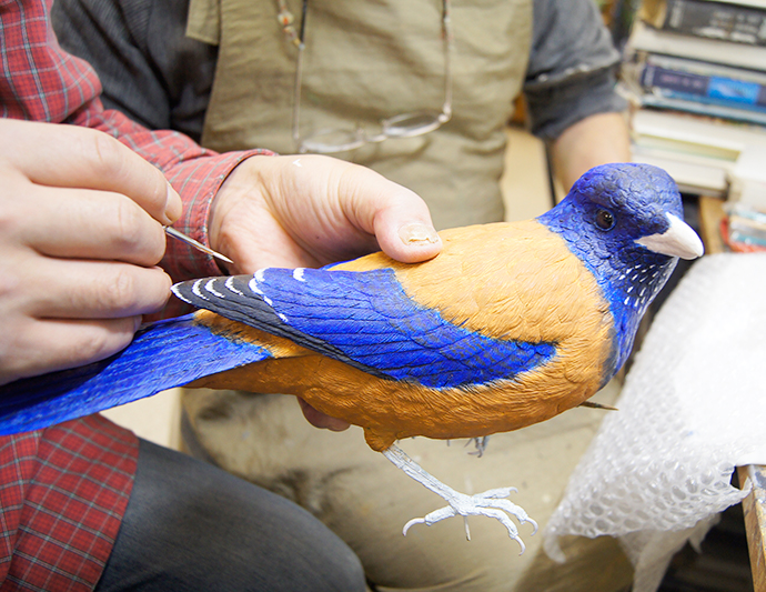 ��Ļ�Υ��᡼��