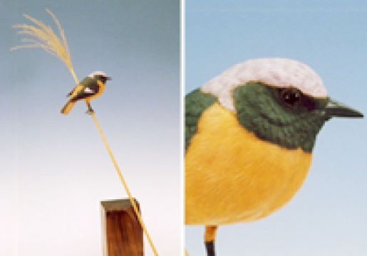 ���祦�ӥ���