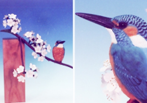 ���糧�ߤȥ��ᥤ�襷��