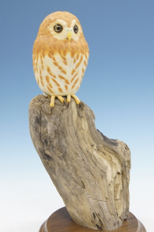 ����������ե�����